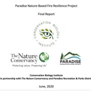 Cover page of the project report