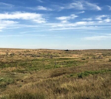 Kansas grasslands.