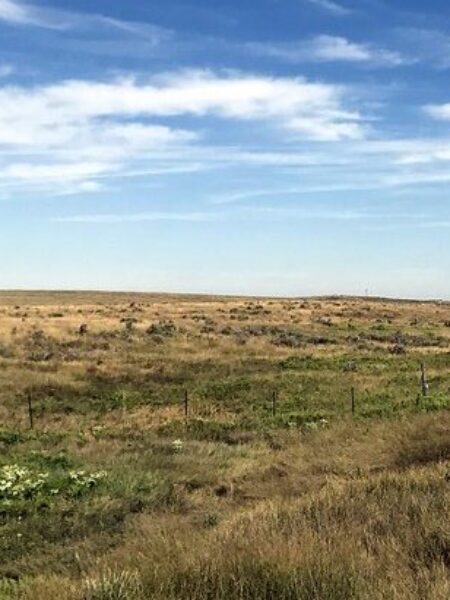 Kansas grasslands.