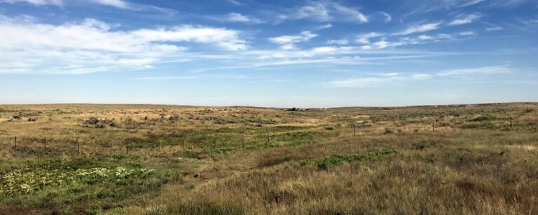 Mapping CRP Grasslands Using Remote Sensing and Machine Learning ...