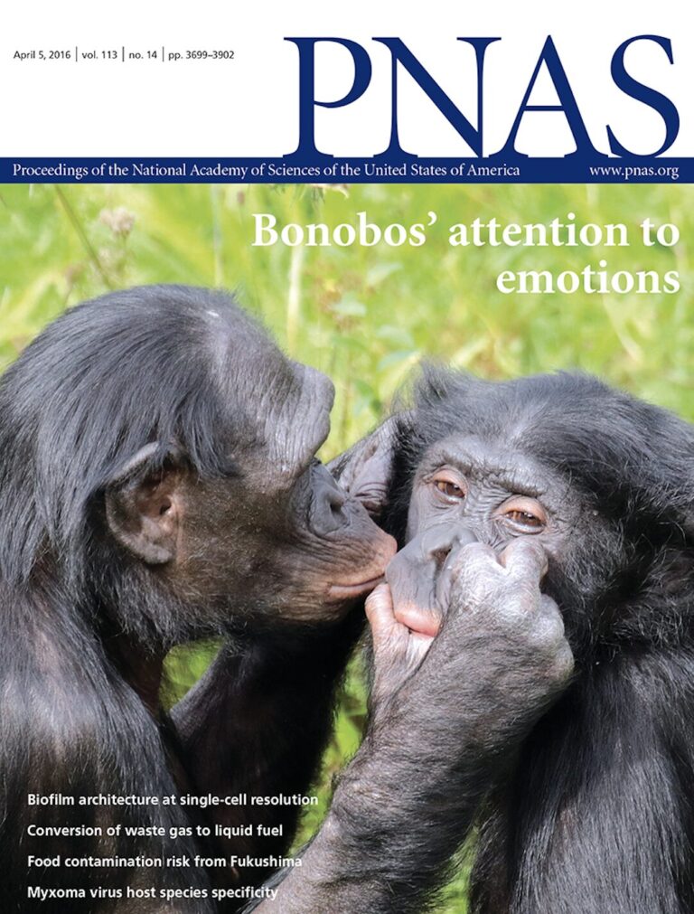 PNAS journal cover: two monkeys playing with each others faces
