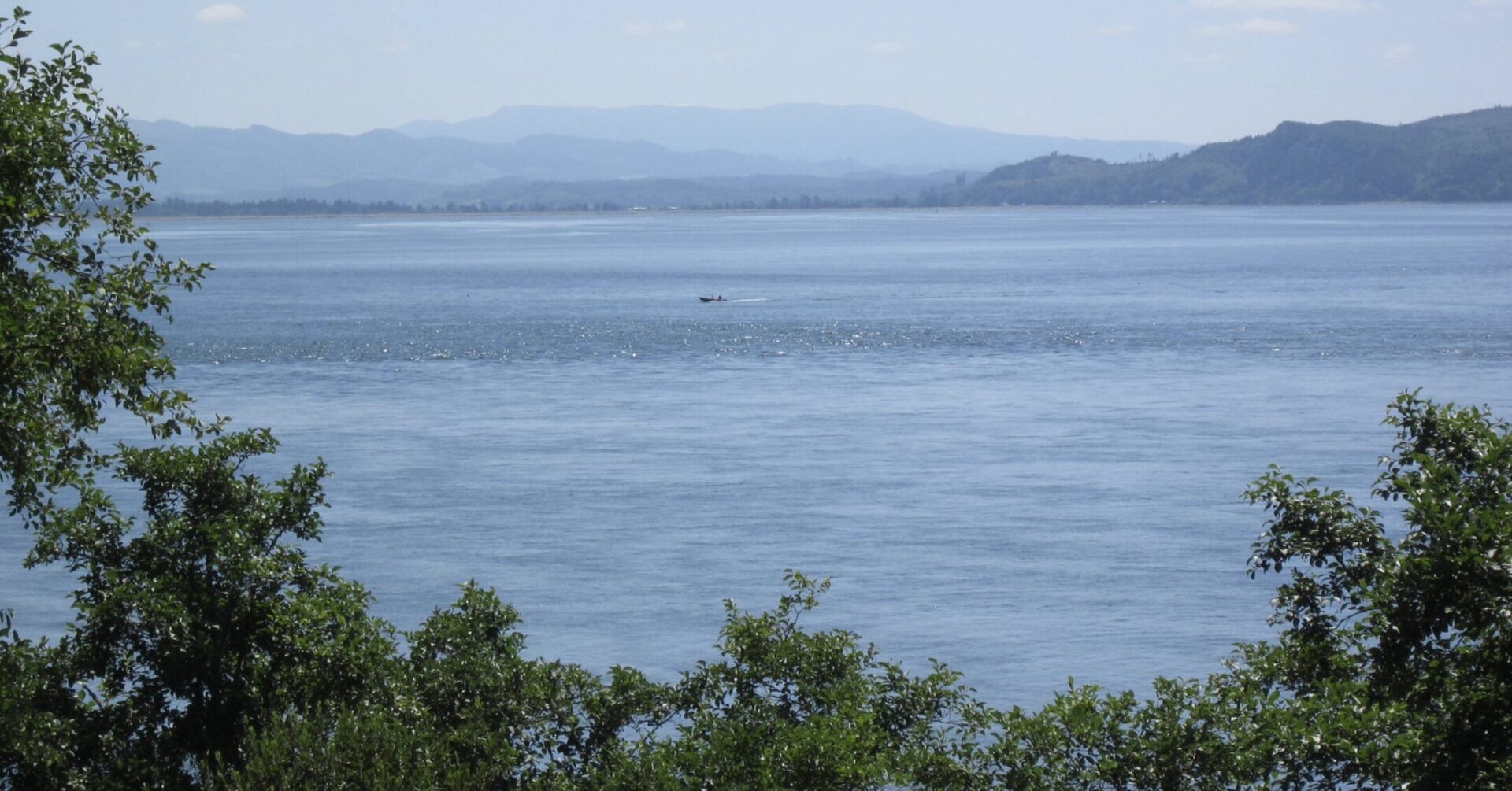 View of Tillamook Bay from behind some trees. A boat is on the water in the distance and mountains are behind the water