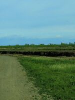 Yolo county farmland