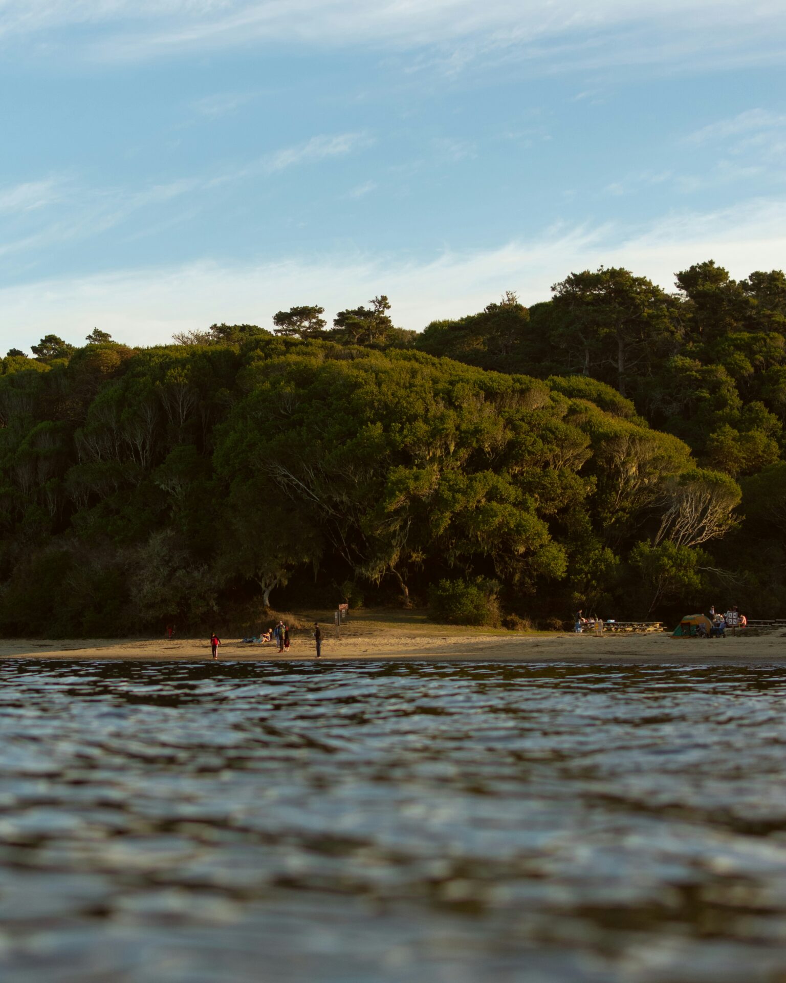 Trees and a small beach with a water (image is taken from in the water)