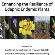 The words "Enhancing the resilience of edaphic endemic plants" over a collage of 4 different endemic plant species pictures