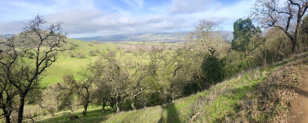 Overlooking a valley with trees and hills in the background.