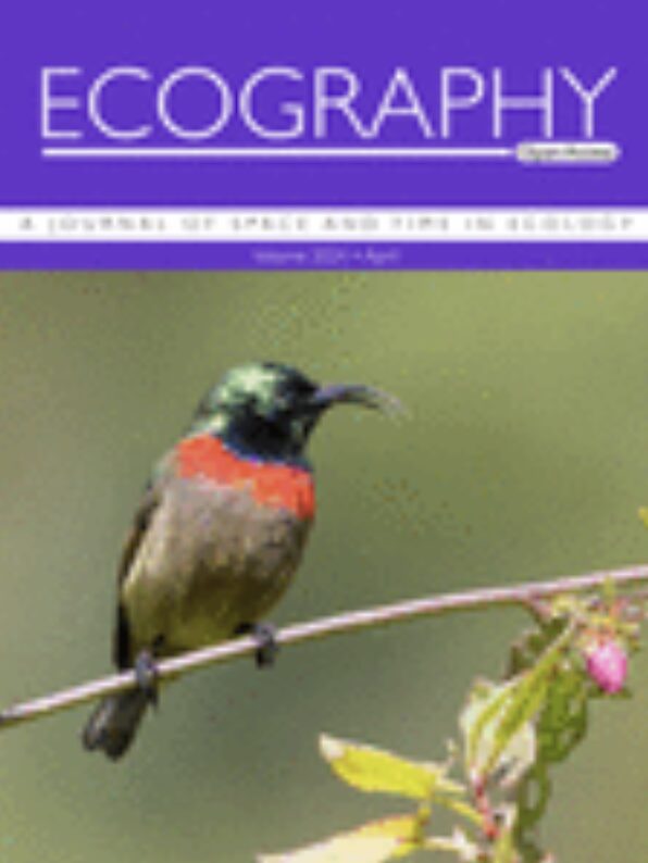Ecography journal cover featuring an image of a small colorful bird