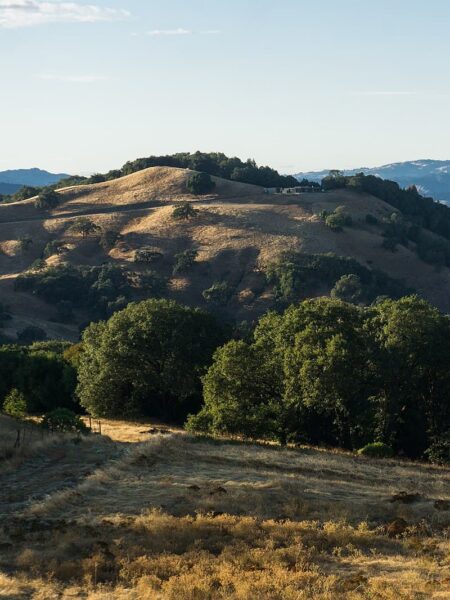 Sonoma County rolling hills in the late afternoon
