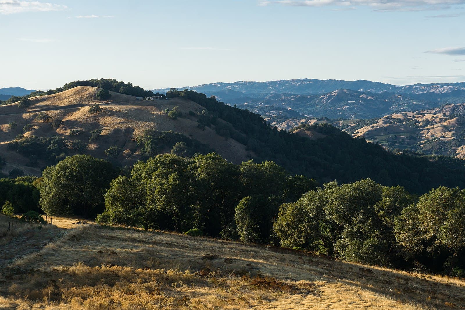 Sonoma County rolling hills in the late afternoon