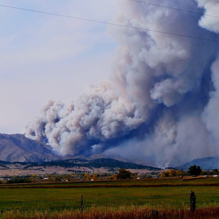 Multiple-Scale Relationships between Vegetation, the Wildland–Urban ...