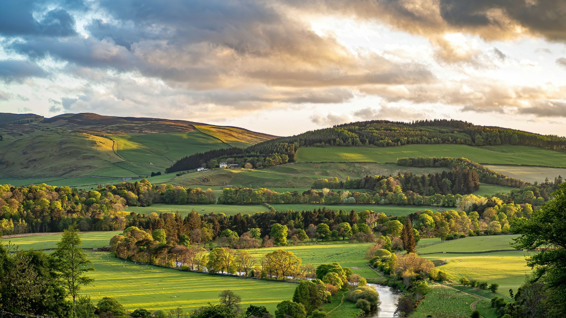 rolling hills of potential farmland at sunset