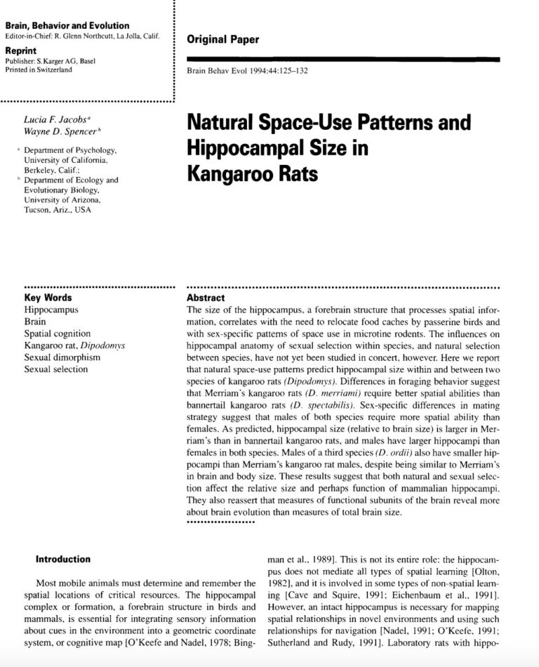 Natural Space-Use Patterns and Hippocampal Size in Kangaroo Rats first page of the downloadable PDF file