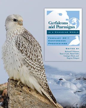 The Peregrine Fund journal cover featuring a peregrine falcon perched on a rock on top of a mountain