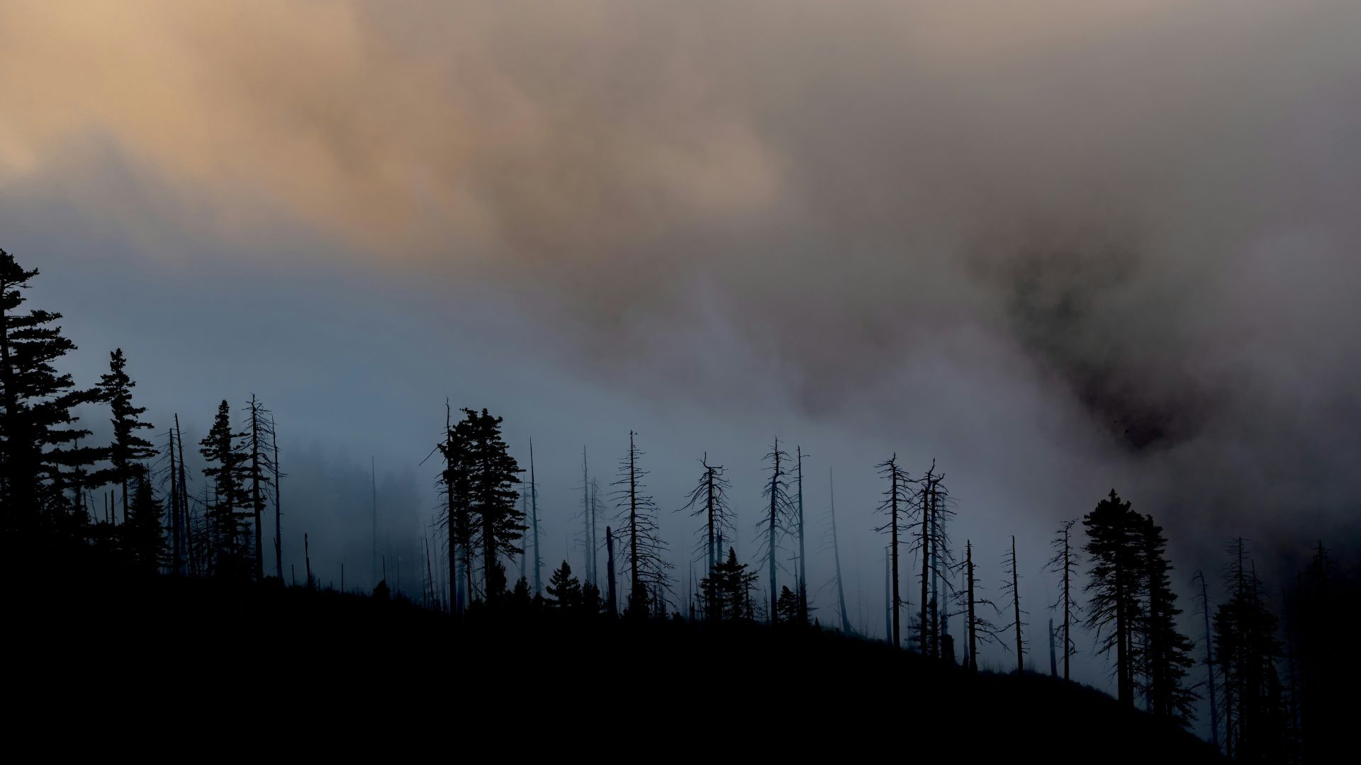 wildfire smoke bellowing off of a hill with burnt trees in front of it