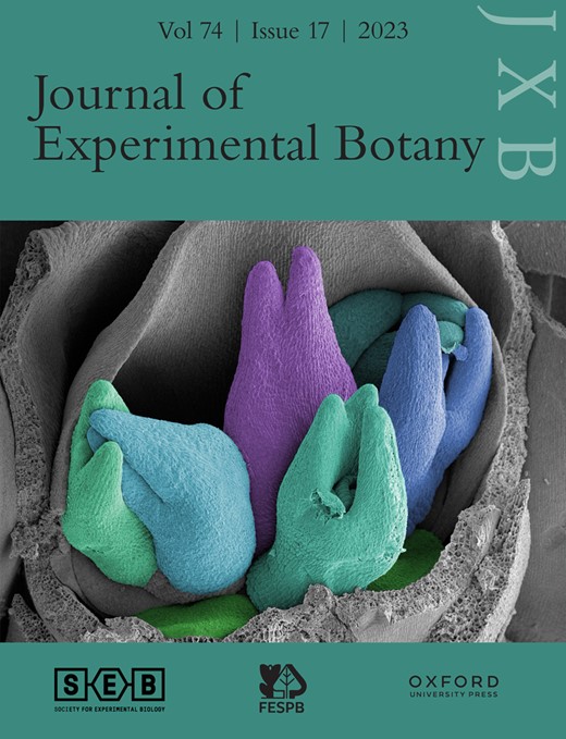 Experimental Botany journal cover