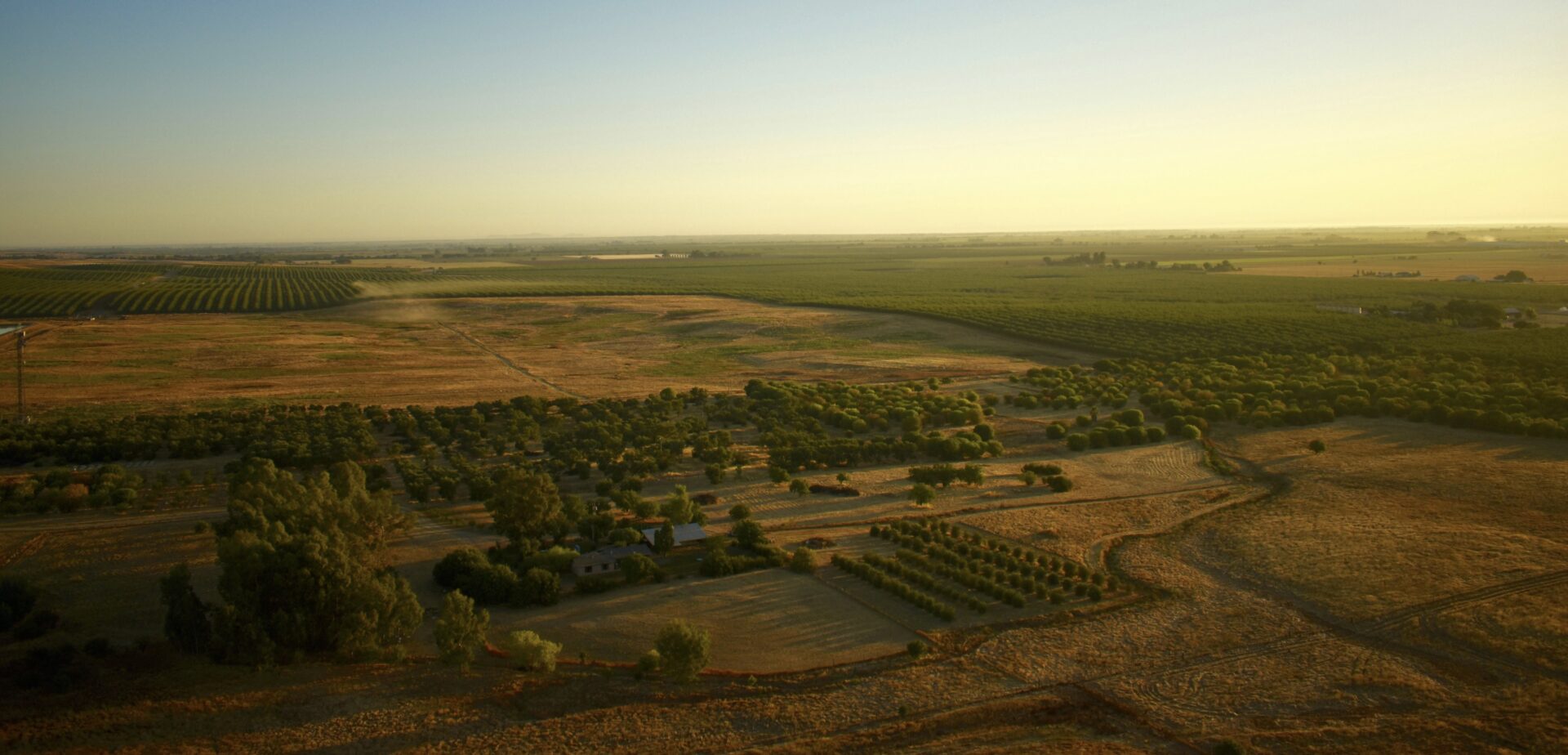 California farmland at sunset, drone view