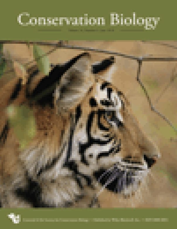 Conservation Biology journal cover featuring the profile of a tigers face (right side)