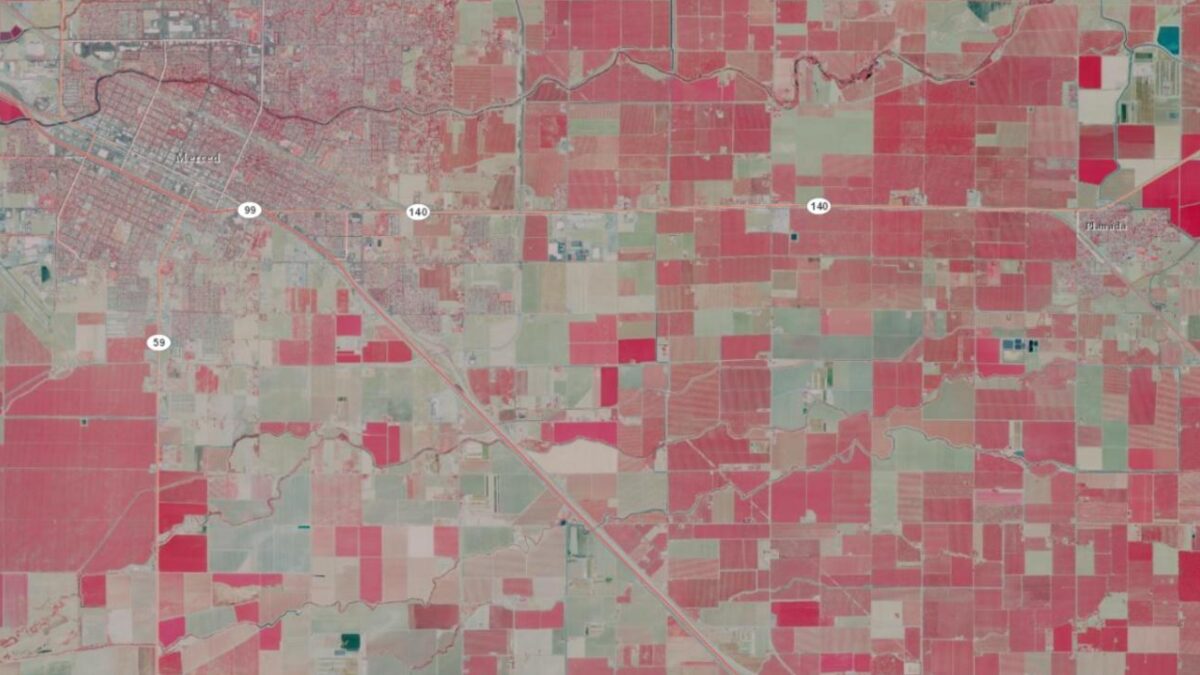 Data Basin screen capture showing the color-infrared image for the area of California between Merced and Planada. The red color depicts various intensities of agricultural crops.
