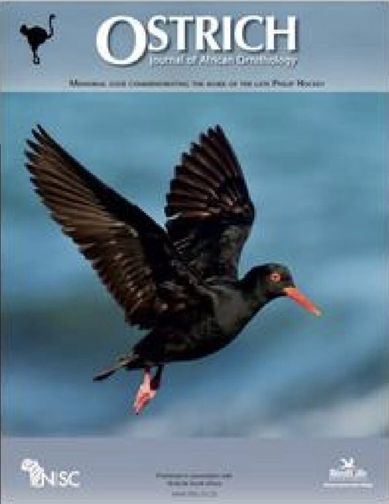 Ostrich: Journal of African Ornithology cover