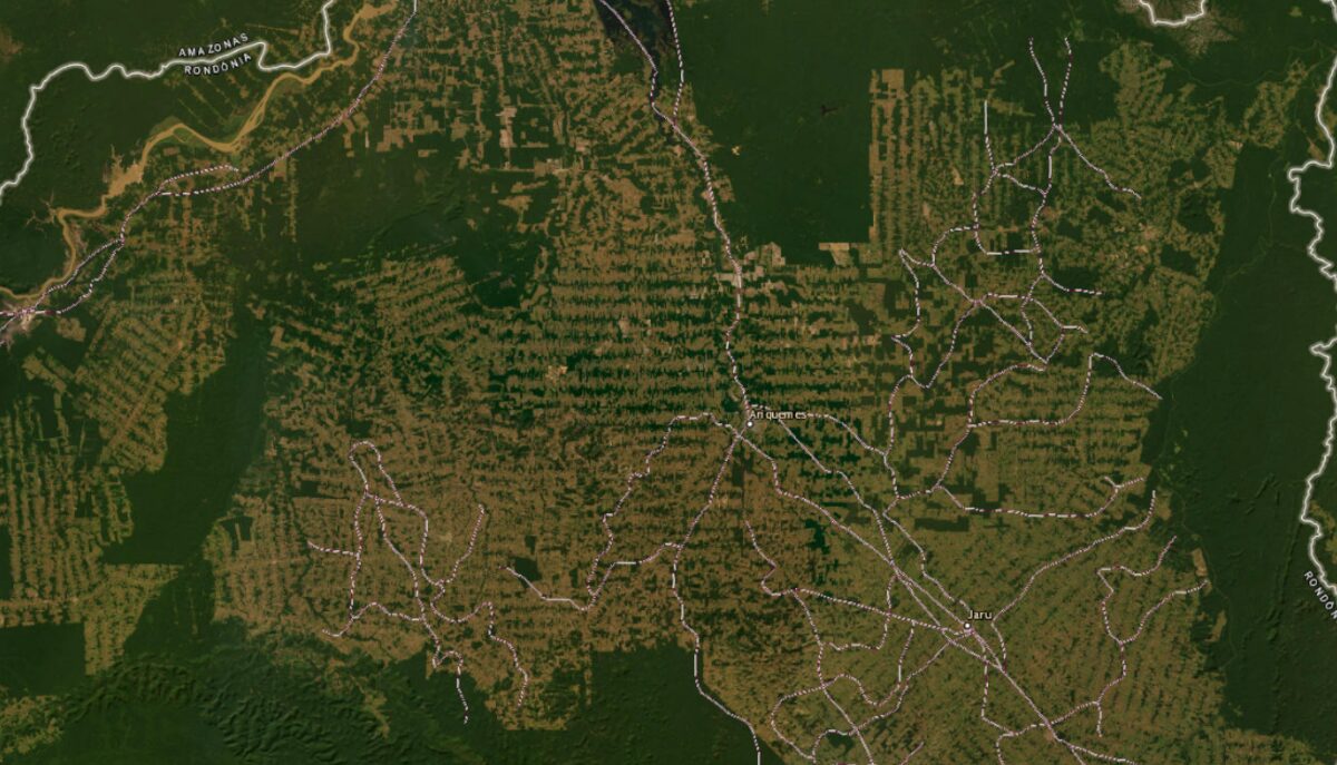 Map of roads through vegetation