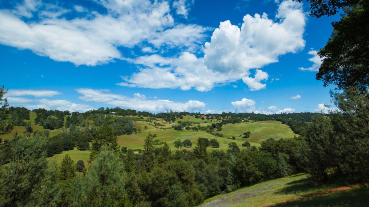 Placer County, California - beautiful landscape of green hills on a sunny day