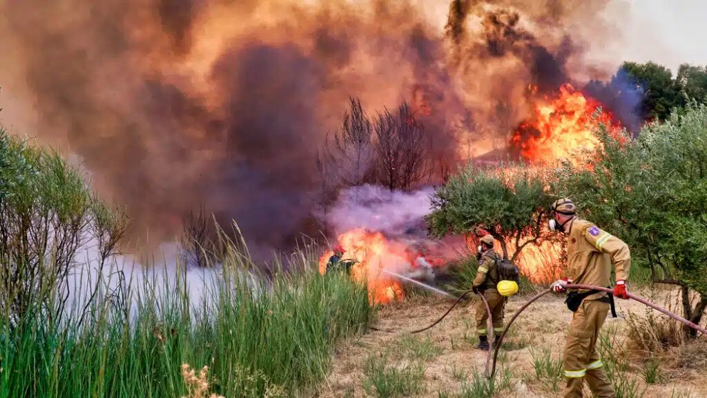 Firemen fighting off a fire in a grassy area, smoke and flames all around them