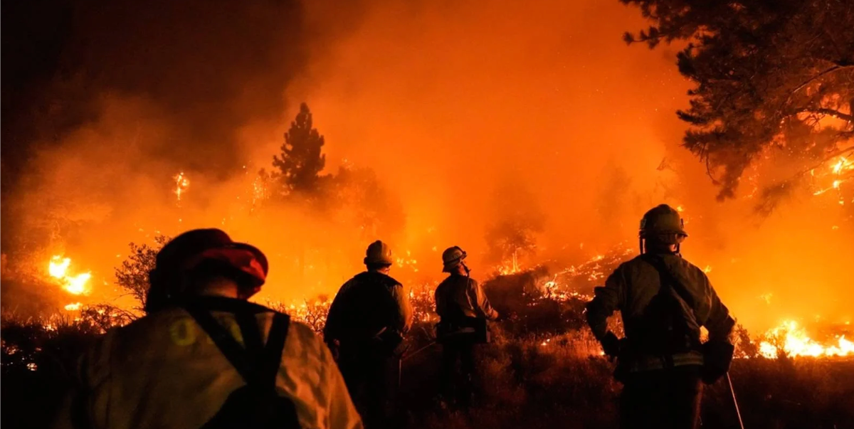 Firefighters standing in front of a large wildfire at night. The sky is illuminated in orange with flames consuming trees and vegetation, while smoke billows upwards. The silhouettes of the firefighters are visible against the blaze.