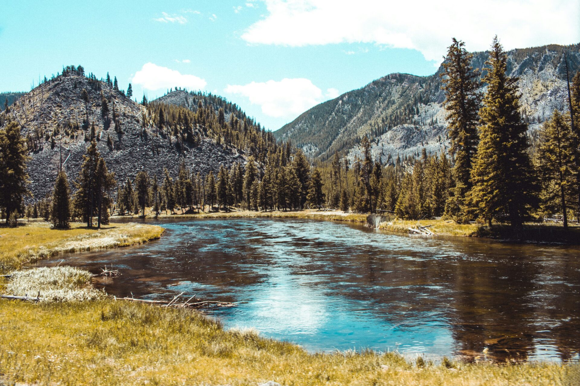 A serene river flows through a lush valley surrounded by forested mountains under a bright blue sky with scattered clouds. Tall evergreen trees line the riverbanks, and the foreground is covered with green grass.