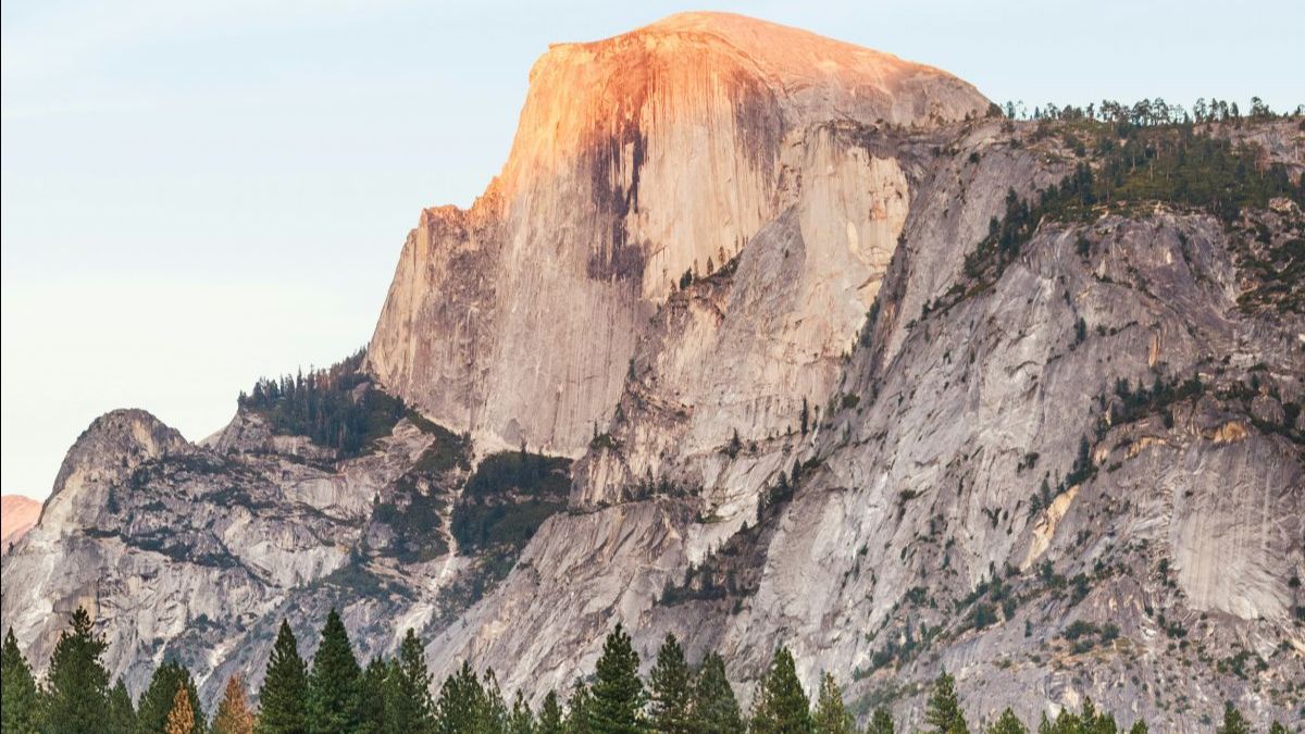 Half Dome in Yosemite National Park at sunset, showcasing its distinct sheer face bathed in warm, golden light. Pine trees line the foreground, adding contrast to the towering granite cliffs against a clear, pale sky.