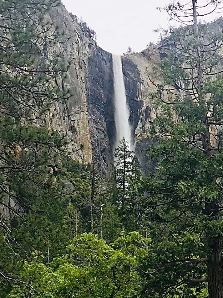 A tall waterfall cascades down a steep cliff surrounded by evergreen trees in a mountainous forest.