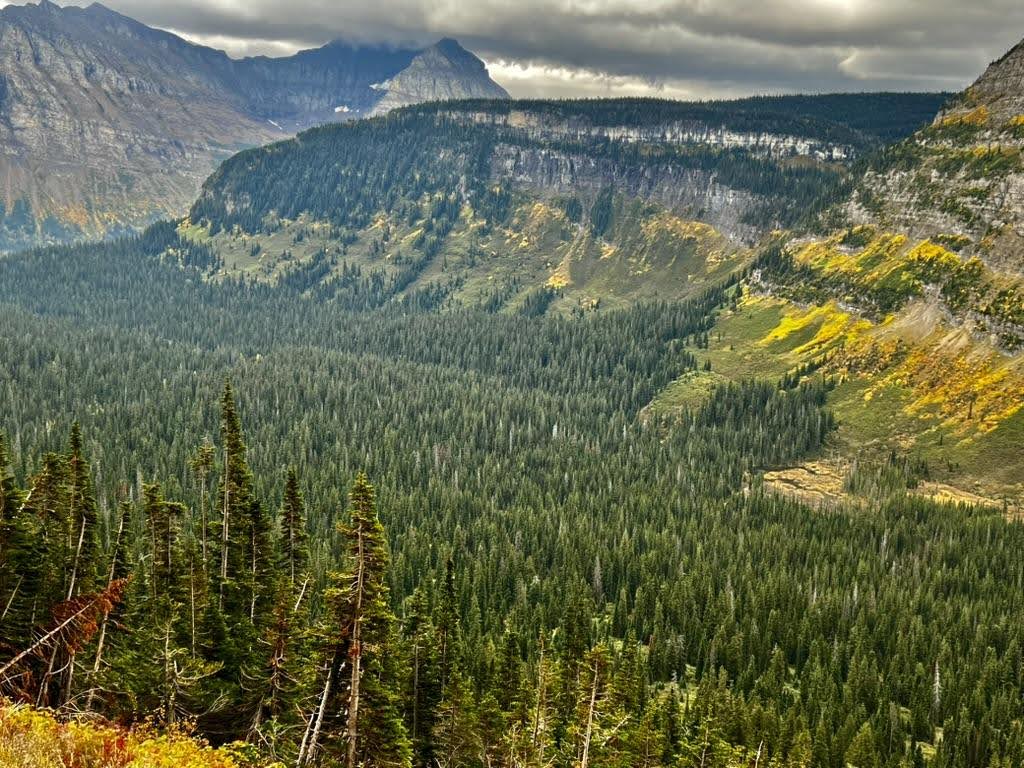 A vast forested valley stretches beneath rugged mountains, with patches of yellow foliage marking early autumn.