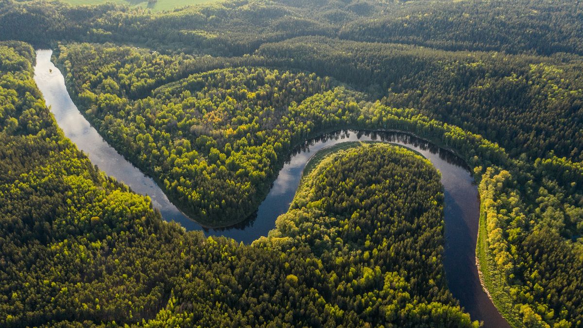 March 2026 Newsletter